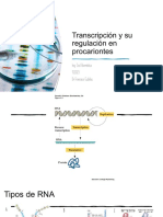 3 - Transcripción en Procarionte (Autoguardado)
