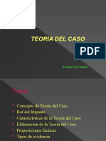 Clase TEORIA DEL CASO