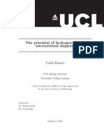 PHD Thesis Carlo Raucci Final