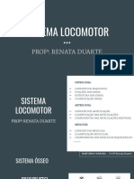 02 - Sistema Locomotor