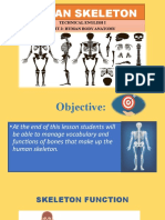 HUMAN SKELETON- UNIT 2 HUMAN BODY ANATOMY CLASS 3