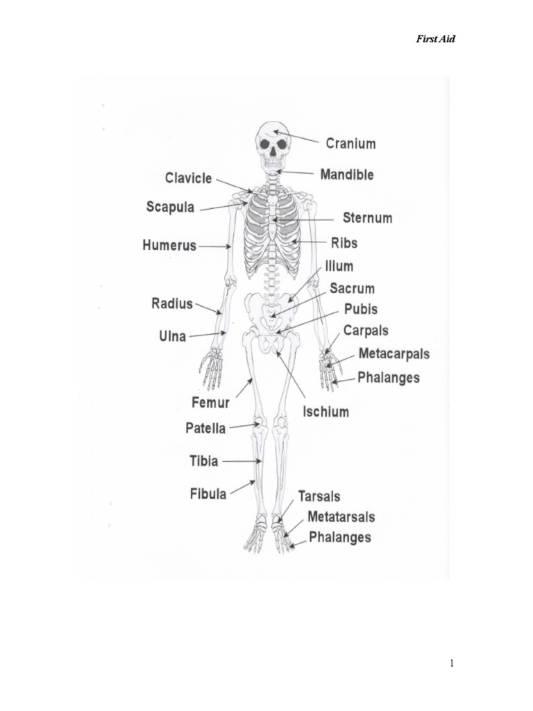 FIRST AID NOTES FOR STUDENTS PDF FREE DOWNLOAD 2021 intelligence overview