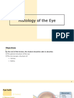 2 - Histology of The Eye