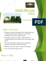 Compressed Bio Gas (CBG)