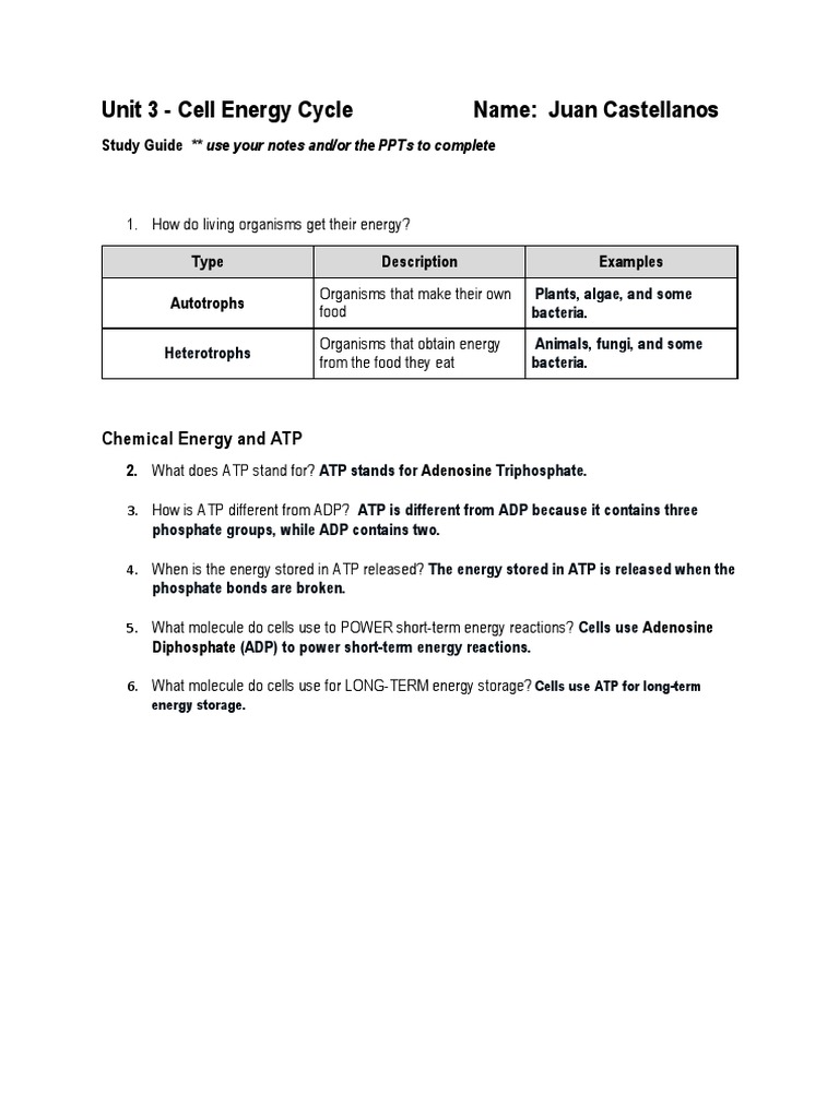 U3 Study Guide CELL ENERGY PDF Cellular Respiration Adenosine