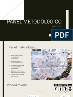 Panel Metodologico