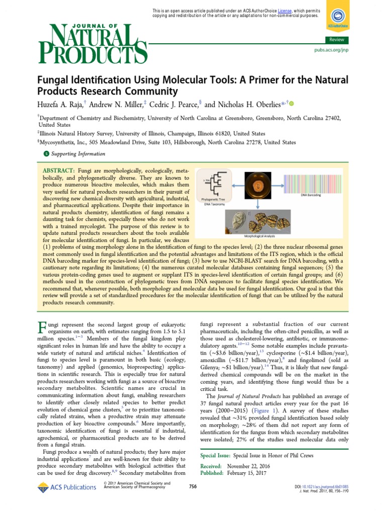 Fungal Identification Using Molecular Tools A Primer For The Natural
