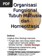 Download Organisasi Fungsional Tubuh Manusia Dan Homeostasis by api-3707635 SN6599354 doc pdf