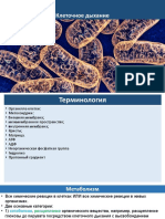 28 - 11 - 2022 - Structure of ATP, Structure and Function of Mitochondrion, Glycolysis, Link Reaction and The Krebs Cycle