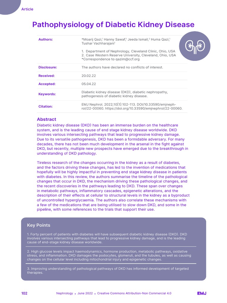 Pathophysiology of Diabetic Kidney Disease | PDF