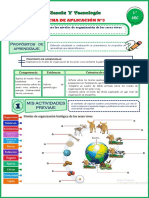 Niveles de Organización de Los SS - VV