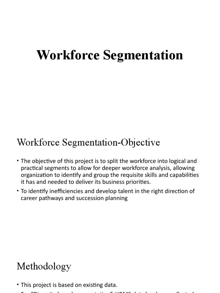 Workforce Segmentation Analysis Overview | PDF
