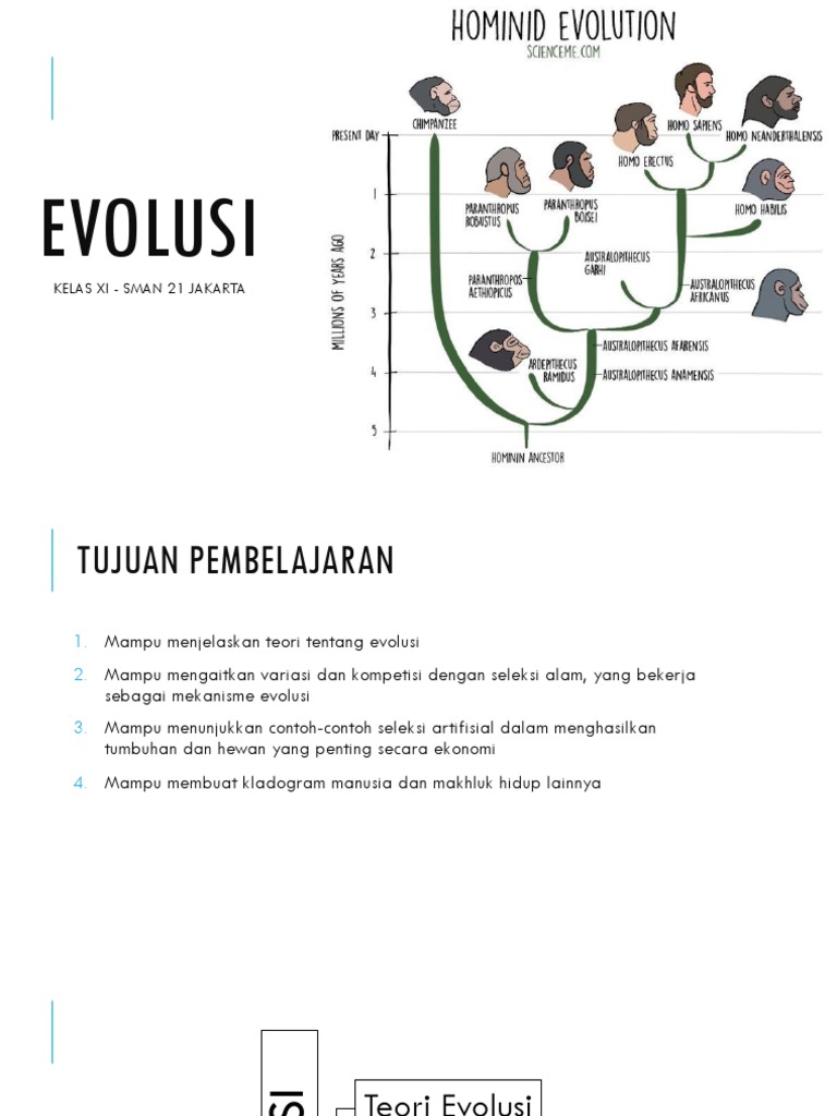Bukti dan Teori Evolusi Makhluk Hidup | PDF | Ilmu Sosial | Sains ...