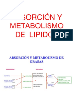 Metabolismo de LIpidos