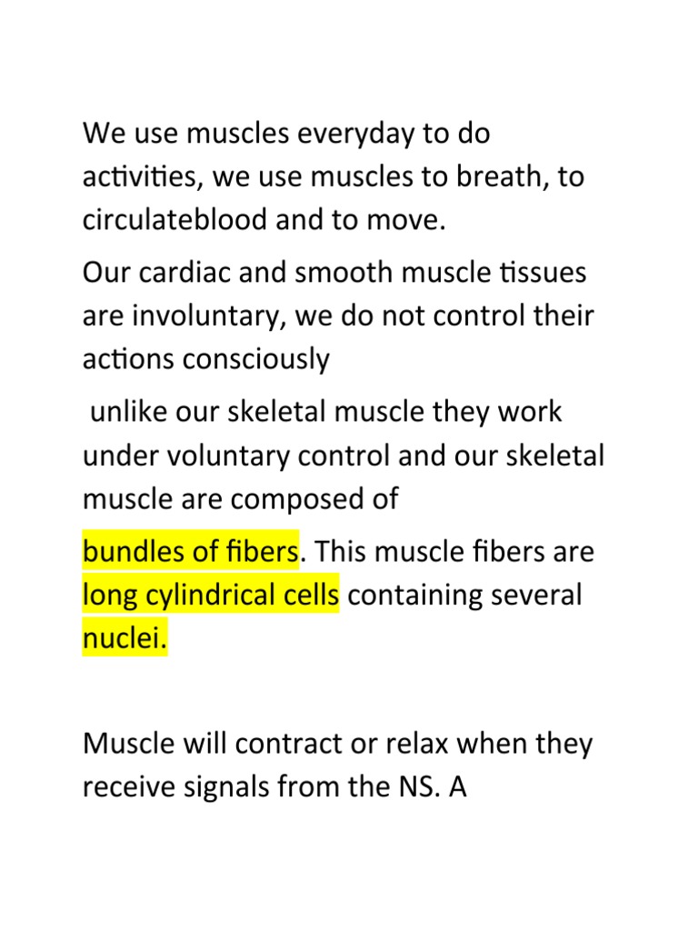 Muscle | PDF | Muscle Contraction | Skeletal Muscle