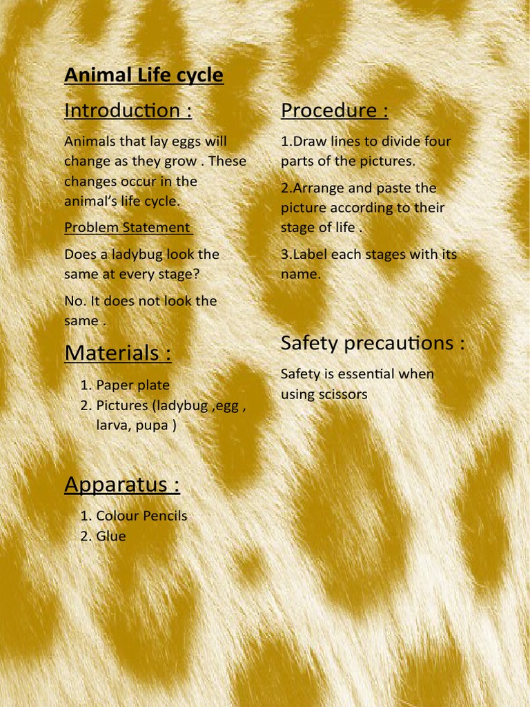Animal Life cycle PDF