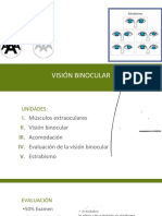 Visión Binocular