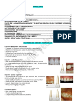 CARIOLOGIA
