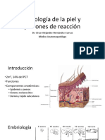 Histología de La Piel