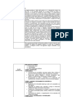 Programa Analitico