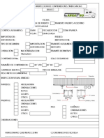 Formato Inspeccion Contenedor.