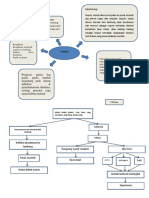 Mind Mapping Minggu 1 Vomitus