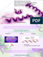 Genero Treponema