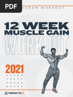 12 Week Muscle Gain Workout Plan