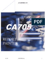 CA705_ Report Painter