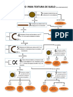 Prueba Tacto Textura Del Suelo