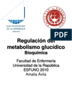 6 Regulacion Metabolismo Glucidico y Control Glicemia Clase 6