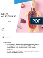 Bases Anatomicas Clase 2