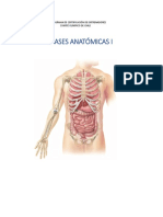 BASES ANATOMICAS NIVELACION Unidad I