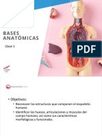 BASES ANATOMICAS Clase 1