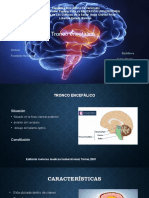 Presentación1 (Autoguardado)