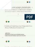 Program Kerja Individu