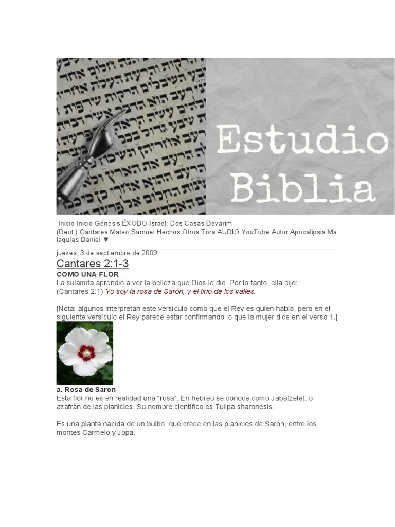 La Rosa de Sarón en la Biblia | PDF | María, madre de Jesús