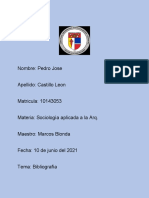 Biblio. Socio. Apli. Arq. Pedro Castillo 10143053 1er Parcial