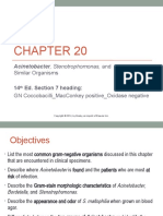 Chapter 20 With Comments - Acinetobacter - Stenotrophomonas
