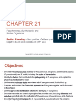 Chapter21 Pseudomonas Burkholderia Comments