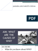 1 WWI Causes