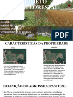 Apresetação - Projeto Agroflorestal