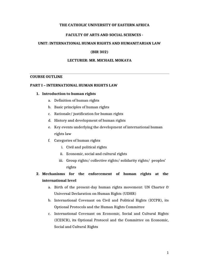 International Human Rights & Humanitarian Law | PDF | International ...