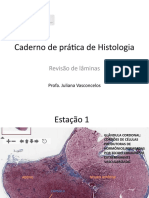 Caderno de Prática de Histologia - TAI E LANA