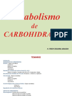 Metabolismo de Carbohidratos