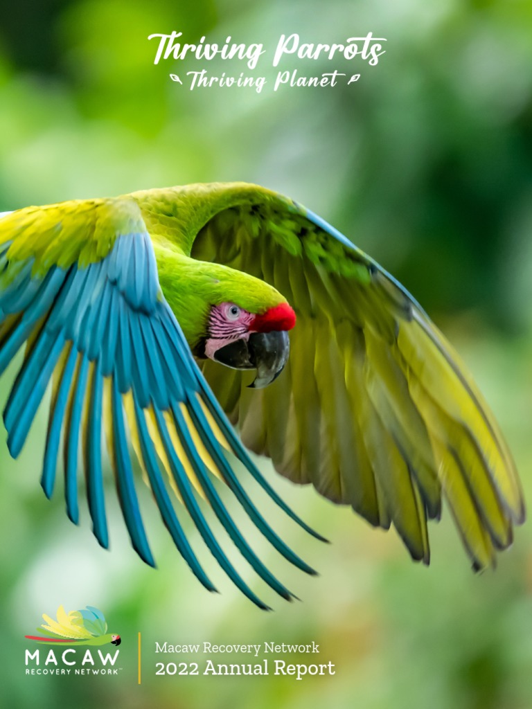 Image showcasing Macaw Recovery Network Report | PDF | Organisms