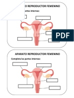 ACTIVIDAD