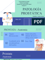 Diapos Cirugía Patología Prostaticas