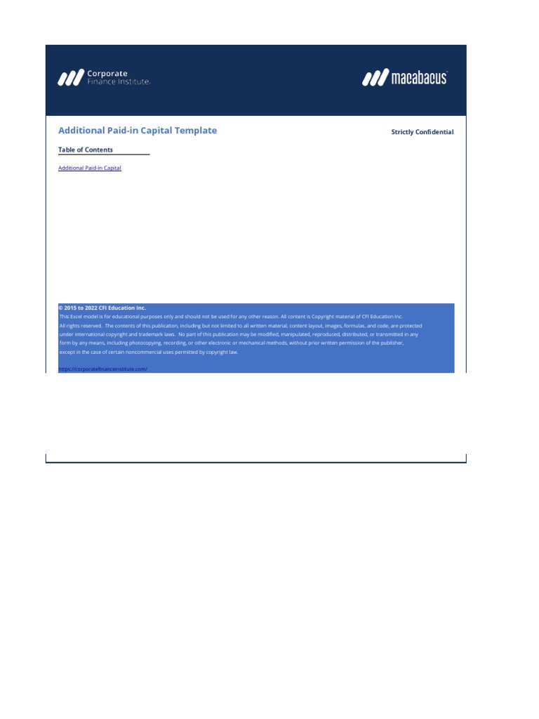 Additional Paid in Capital Template | PDF