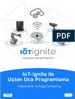 IoT Ignite